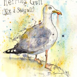 Artwork of a seagull