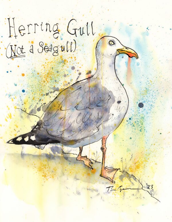 Artwork of a seagull